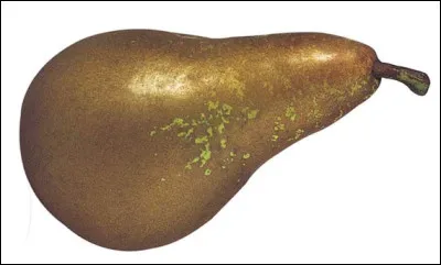 Quelle est cette variété de poire allongée en forma de bouteille, fruit succulent à chair ferme et douce ?