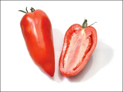 Quelle est cette variété de tomate ancienne, un fruit allongé et pointu à chair ferme avec très peu de pépins ?