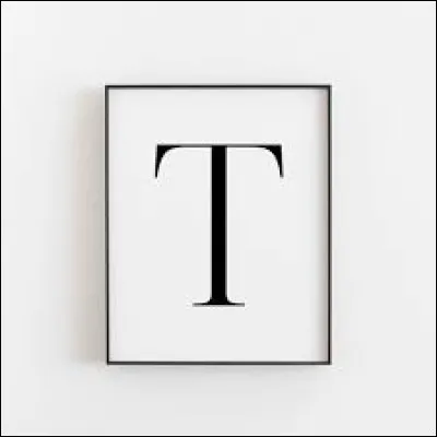 Quel est le prénom de la chanteuse ayant pour nom Turner ?