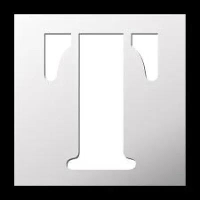 De quel type est le Pokémon Tiplouf ?