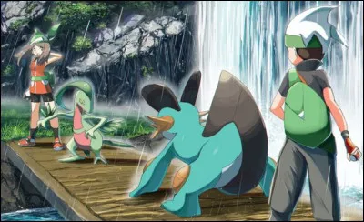 Aimes-tu les combats ?