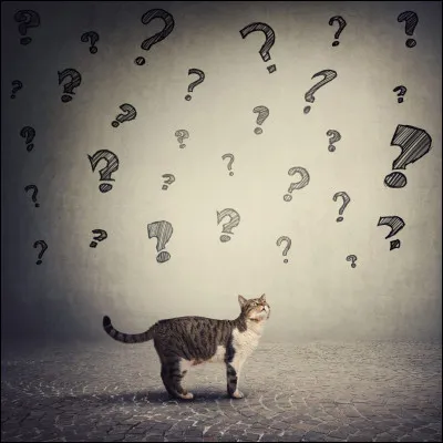 Alors, as-tu trouvé le personnage mystère ?