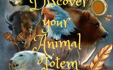 Quiz Animaux