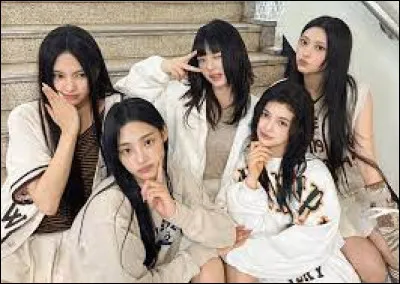 Quelle position aurais-tu si tu étais dans un groupe de K-pop ?