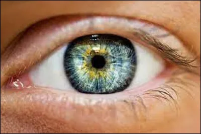 Quelle est la couleur des yeux d'Athéna ?