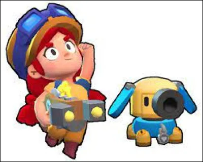 Qui est ce Brawler ?