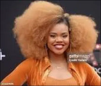 Quelle est ta couleur de cheveux ?