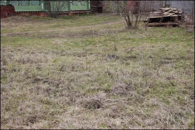 Où se trouve le chat sur l'image ?