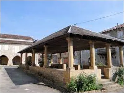 Village de l'arrondissement de Montauban, Verfeil se situe dans le département ...