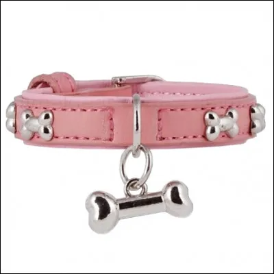 Avez-vous un collier ou pas ?