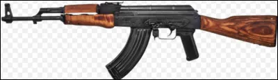 Quel est ce fusil dassaut ?