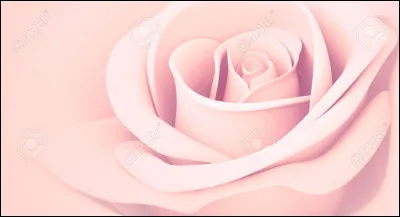 Si tu as choisi dans la question 2 "le rose", tu préfères