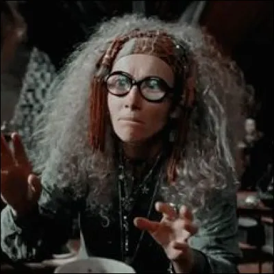 Depuis combien de temps Trelawney enseigne-t-elle à Poudlard ?