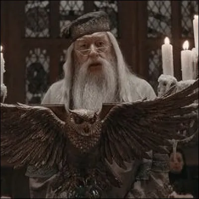 Que fait Dumbledore vis-à-vis de Harry Potter pendant toute l'année ?