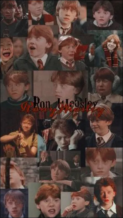 De quoi Ron traite-t-il Ombrage ?