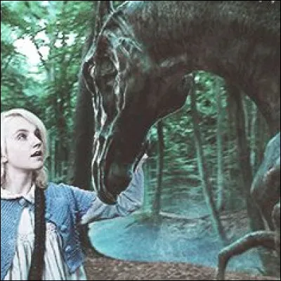 Qui Luna a-t-elle vu mourir ?