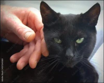 Quand on te touche, quelle est ta réaction ?