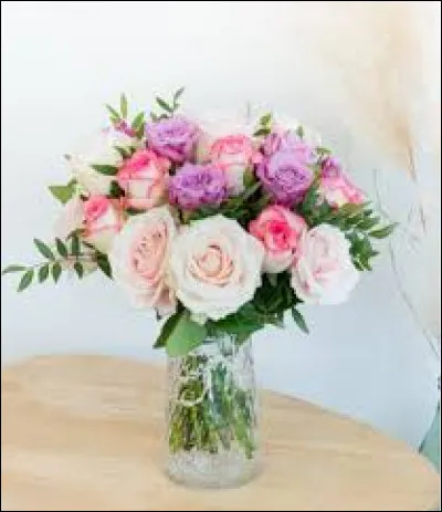 Quel est le genre d'un roman dit 'à l'eau de rose' ?