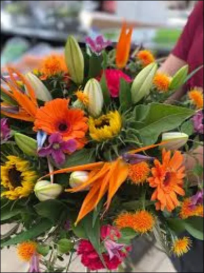 Trouvez la suite de ce dicton "À la Sainte-Catherine,... "