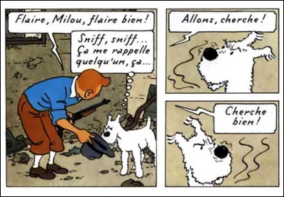 Que va-t-il se passer, pour Milou en l'occurrence ?