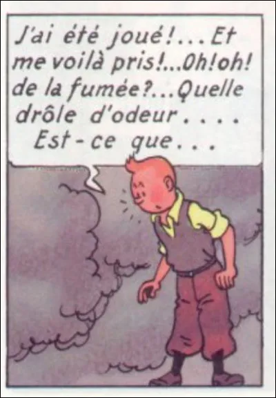 Tintin sent et semble en mauvaise posture. Qu'arrive-t-il ?