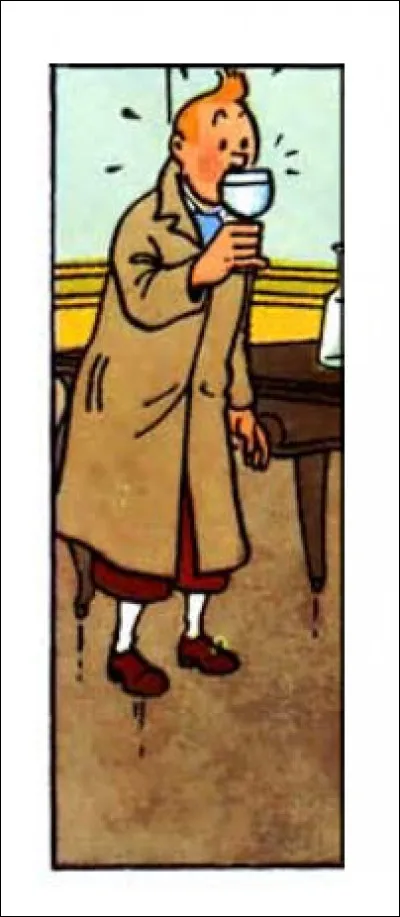 Cette fois ci, ça y est : Tintin s'y met !