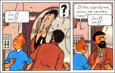 "Le Flair...", non ! : "L'affaire Tournesol" > Le voici, le maître ! Lequel a lui aussi du nez, comme on le sait. Mais que sent-il ?