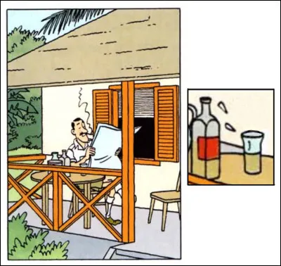 Ce calme peut être trompeur... car qui (ou quoi) va venir interrompre ce moment de repos dans cette séquence des "Cigares du Pharaon" ?