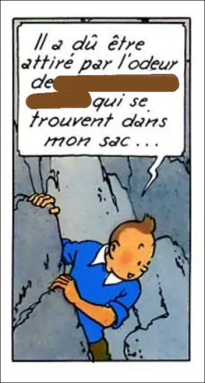 Tintin est une fois de plus en train de faire de l'escalade... mais là nez pas la question ! Qui, quoi et où ?