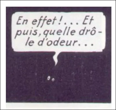 Ici, il va vous falloir pointer votre nez, car il n'y a rien d'autre ! Qu'a senti Milou ?