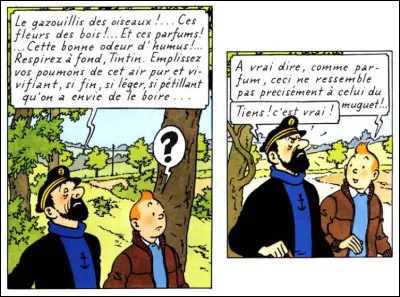 Haddock est d'humeur bucolique, ce qui est mieux qu'alcoolique. Mais il s'enflamme un peu, car Tintin va lui signaler qu'ils sont proches ... (Complétez !)
