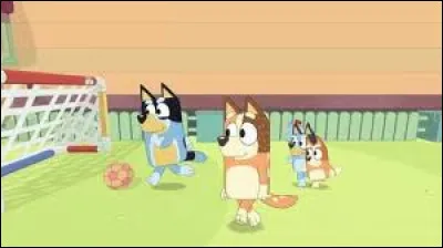Comment s'appelle la sur de Bluey ?