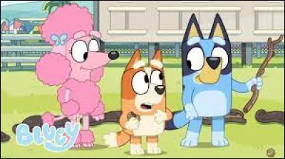 Quel est le nom de famille de la mère de Bluey (nom de jeune fille) ?