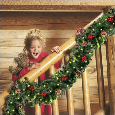 Qu'est-ce que c'est ?