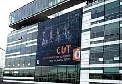 Que signifie ce mot de trois lettres : "Cut" ?