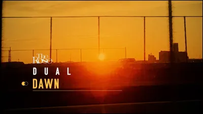 Que signifie ce mot de trois lettres : "Daw" ?