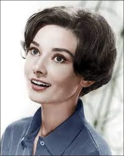 Et on clôt notre quiz avec l'actrice britannique, Audrey Hepburn. Née à Ixelles (Belgique) le 4 mai 1929, et morte à Tolochenaz (Suisse) le 20 janvier 1993, elle reçut durant sa carrière de nombreuses récompenses, dont un Oscar en 1954. Pour quel film ?