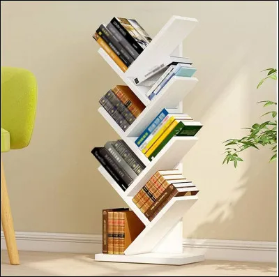 Quel est cet objet où l'on peut ranger notre collection personnelle de livres en tout genre ?