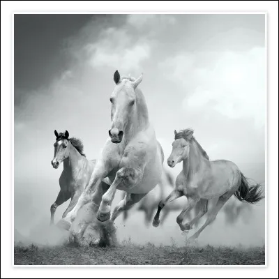 Quel est le nom de cet objet que l'on peut accrocher au mur de sa chambre ?