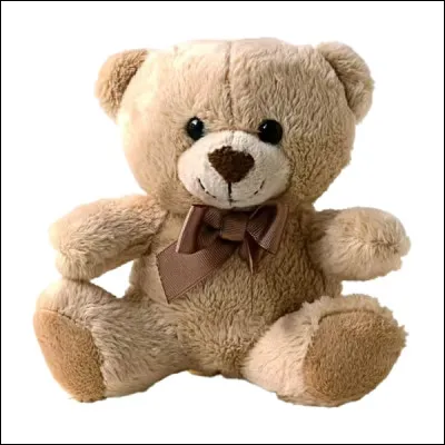 Quel est le nom de cet objet qui sert de décoration pour son lit ?