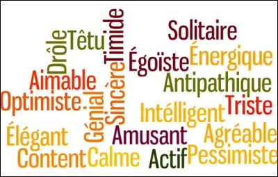 Pour toi, quel est le caractère parfait chez un garçon ?