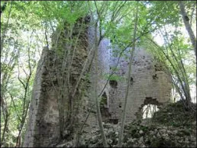 Vous avez sur cette image les ruines du château de Vaite, à Champlive. Village de l'aire d'attraction Bisontine, il se situe dans le département ...