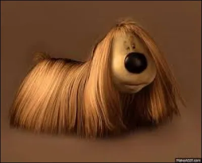 Quelle est la race de "Pollux", le chien dans la série télévisée d'animation "Le Manège enchanté" ?