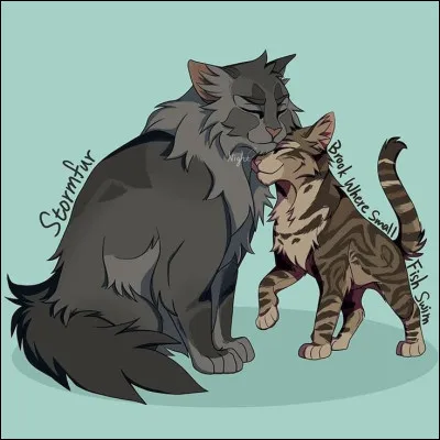 De combien de clans différents sont issus les enfants de Pelage d'Orage et Source aux Petits Poissons ?