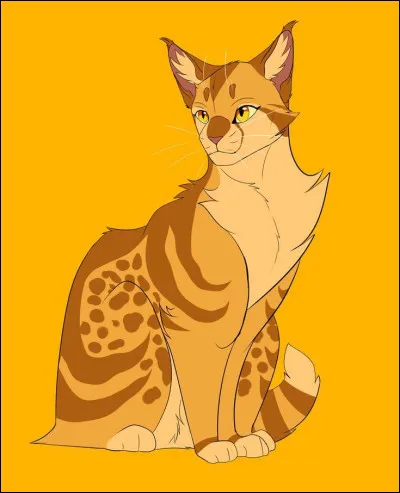 Pourquoi Étoile du Léopard n'a-t-elle rien fait lorsque Étoile du Tigre a fait tuer Pelage de Silex ?