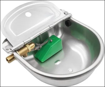 Le cheval boit grâce à...