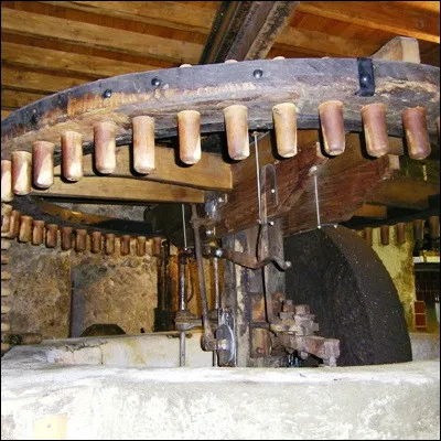 Quel verger est très présent en Provence à proximité de moulins à huile ?