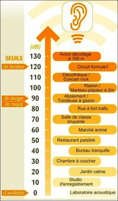 Quel est le nom de cette frise ?