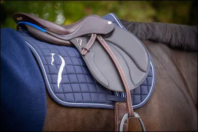 Il existe juste 4 types de selle.