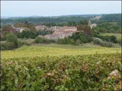 Je vous emmène maintenant en Occitanie, à Amarens. Petit village de 69 habitants, dans l'arrondissement d'Albi, il se situe dans le département ...